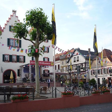 Ferienwohnung Marktplatz Oppenheim Kültér fotó
