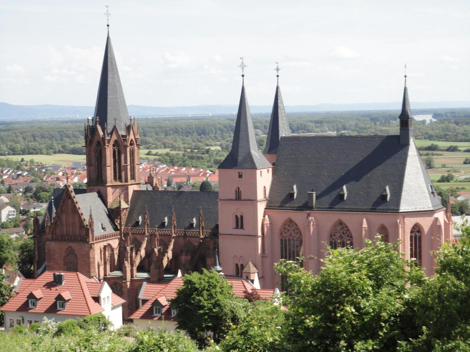 Ferienwohnung Marktplatz Oppenheim Kültér fotó